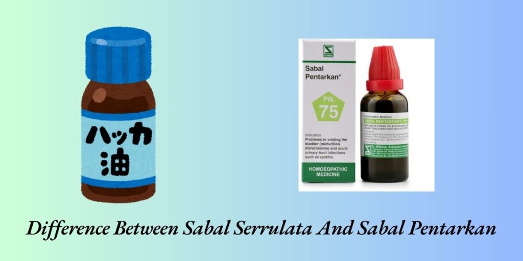 Difference Between Sabal Serrulata And Sabal Pentarkan