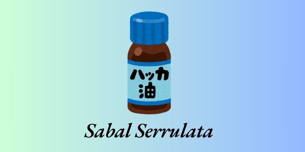 Sabal Serrulata